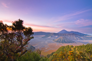 Obraz premium Bromo volcano at sunrise,Tengger Semeru National Park, East Java