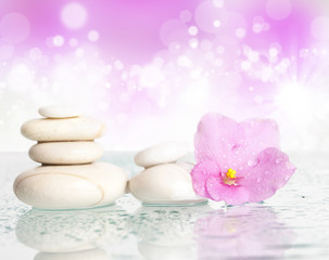 Fototapeta na wymiar White spa stones and flower on colorful background