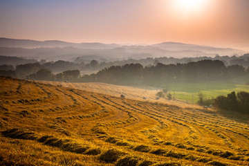 Tuscan Countryside at Dawn with Haze