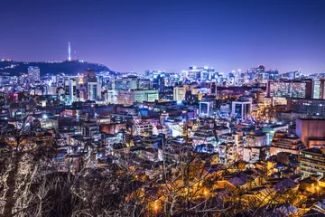 Fotobehang Seoul, South Korea Cityscape with Seoul Tower © SeanPavonePhoto