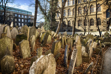 Prag Friedhof - 60512369