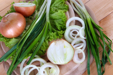 Composition with herbs and onions close-up