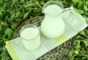 Pitcher and glass of milk on napkin on wicker tray on grass