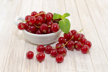Redcurrant