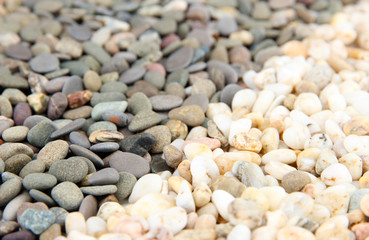 Grey and white small sea stones, close up