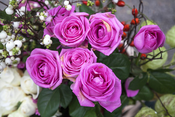 Bouchet of  fuchsia rose