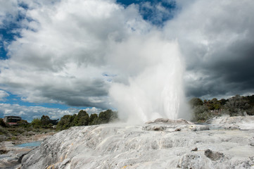 Pohutu and Prince of Wales geysers