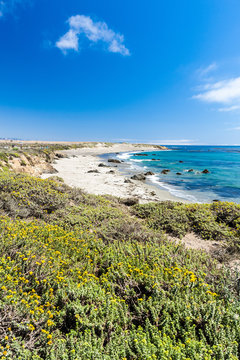 California beach along Pacific coast highway
