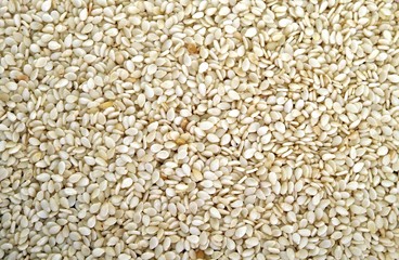 Sunflower Kernels