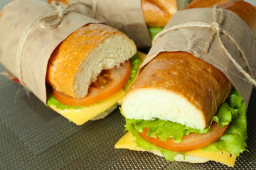 Fresh and tasty sandwich close up
