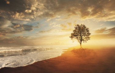 Plakat Tree and beach