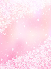 桜　さくら　背景