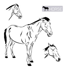 Line art of horse