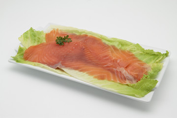 salmon