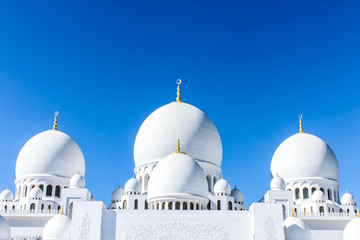 Fototapeta na wymiar Piękny biały Sheikh Zayed Meczet w Abu-Dhabi, Zjednoczone Emiraty Arabskie