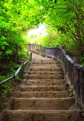 Abwaschbare Fototapete Natur Treppe zum Wald
