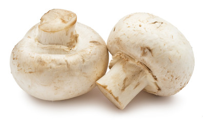 Champignon mushrooms