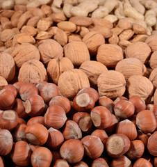 Assorted nuts background