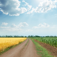 sunny sky with clouds over road in agriculture fields