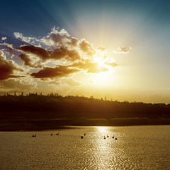 sunset over pond with dark water and swans