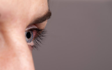 Auge