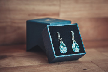 Pair of earrings
