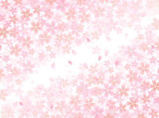 桜　さくら　背景