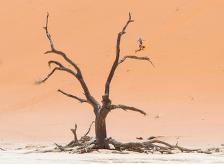 Fototapeta na wymiar SOSSUSVLEI, NAMIBIA, 26 dec 2013 - Tourist runs down a red dune.