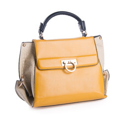 woman's handbag on a background