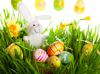 easter eggs and rabbit