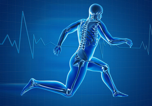Man Running Athlete Medical Diagram Heart Beat Pulse Jogging