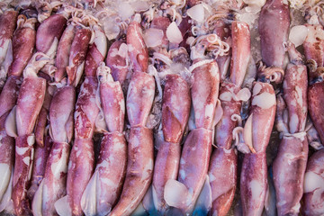 Squid in the market