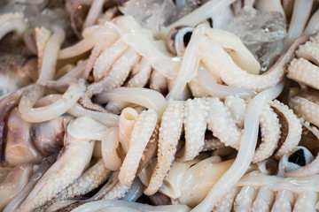 Squid in the market