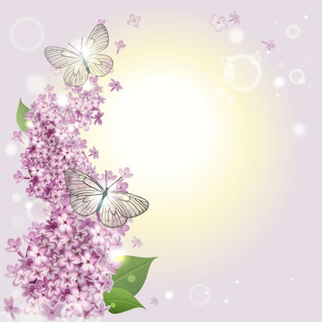 floral background with butterflies and a lilac