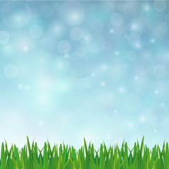 Fototapeta premium spring