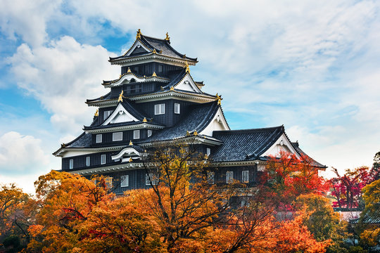 Fototapeta Okayama Castle in Japan