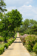 Country house near Montpellier