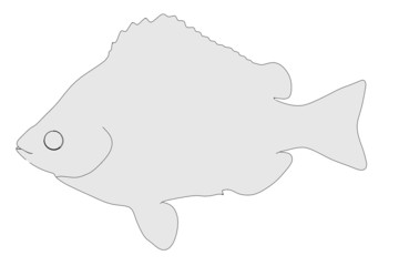 cartoon illustration of fish animal