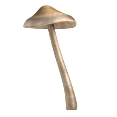 realistic 3d render of mushroom