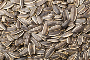 Sunflower seed background