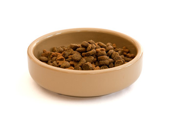 Photo of a bowl of dry cat food pellets