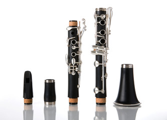 The pieces of a clarinet