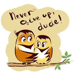Never give up birds