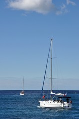 Fototapeta premium cassis