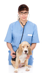 Obraz na płótnie Canvas veterinarian examining a puppy dog. isolated on white background
