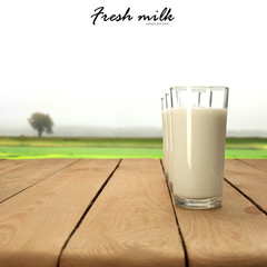 milk