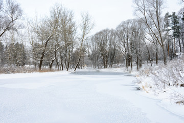 Fototapeta na wymiar not frozen pond in winter