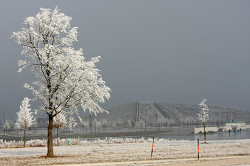 Winter am See mit Raureif