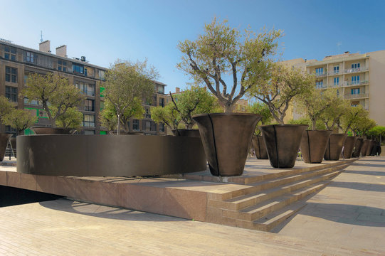 Olivenbäumchen in der Rue du Lacydon in Marseille