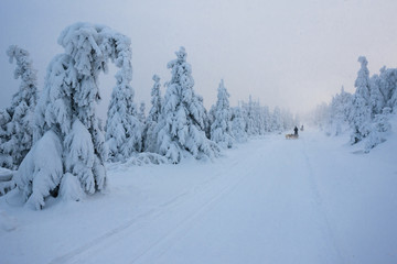 winter landscape, Orlicke Mountains, Czech Republic